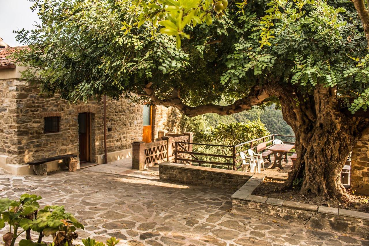 Casale I Cirillo Bed and Breakfast Rutino Exteriör bild