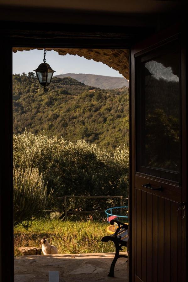 Casale I Cirillo Bed and Breakfast Rutino Exteriör bild