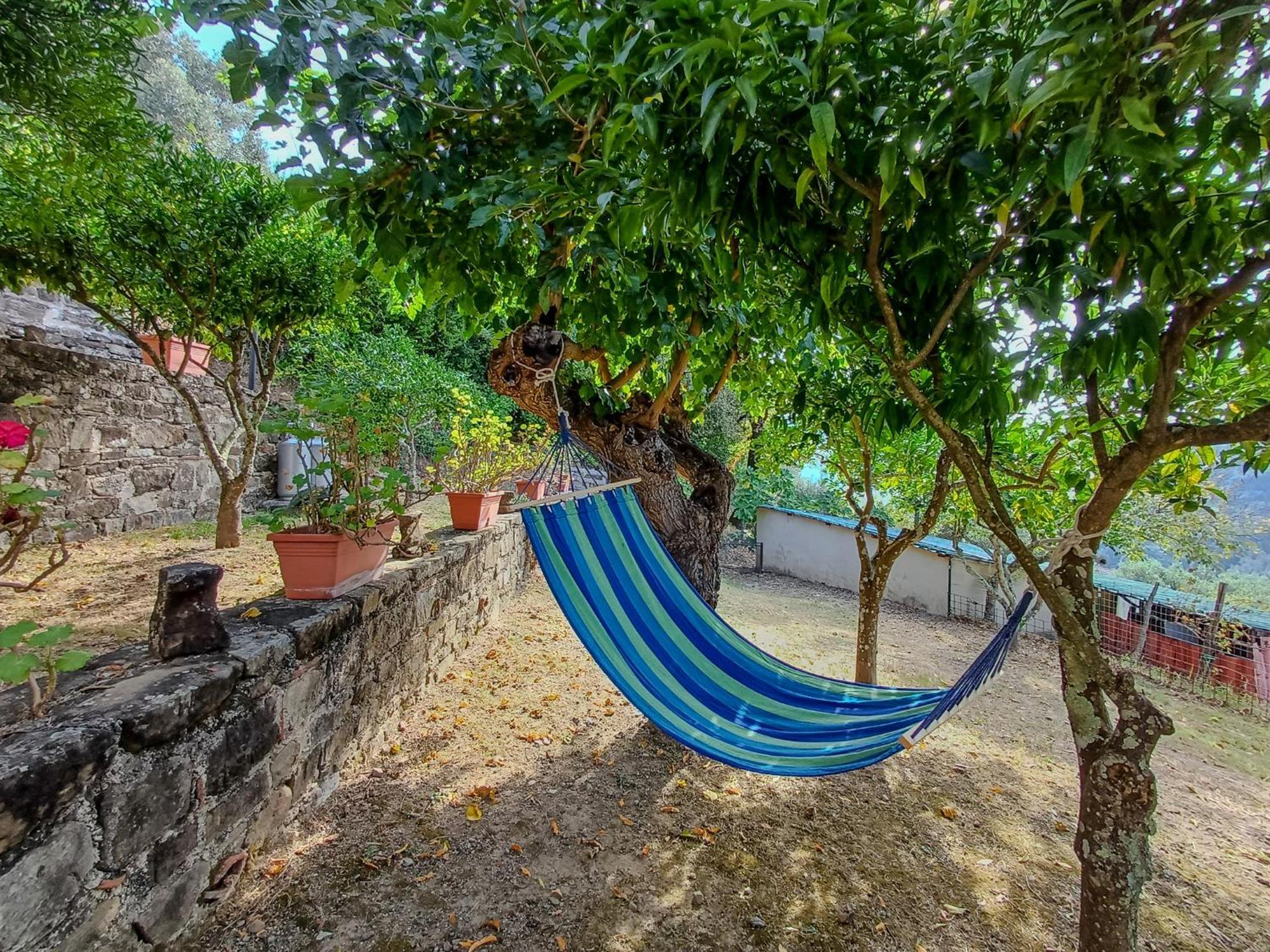 Casale I Cirillo Bed and Breakfast Rutino Exteriör bild